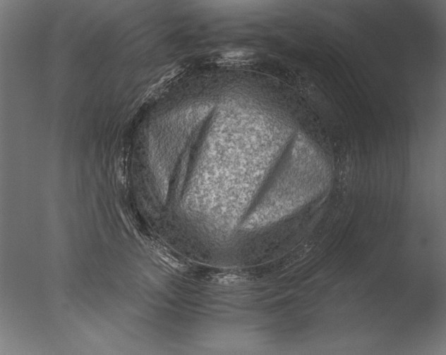 X0000076310755200610201612