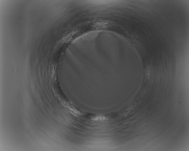 X0000076310759200610201612