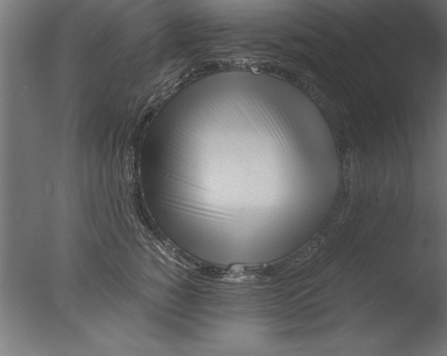 X0000076310760200610201612