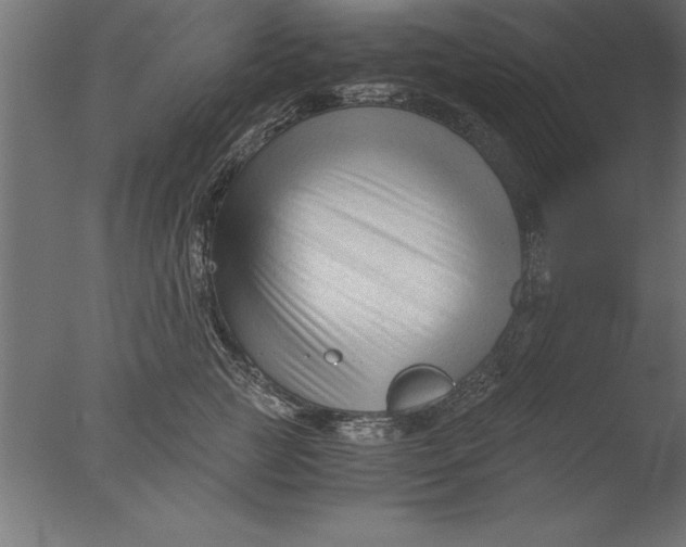 X0000076310761200610201612