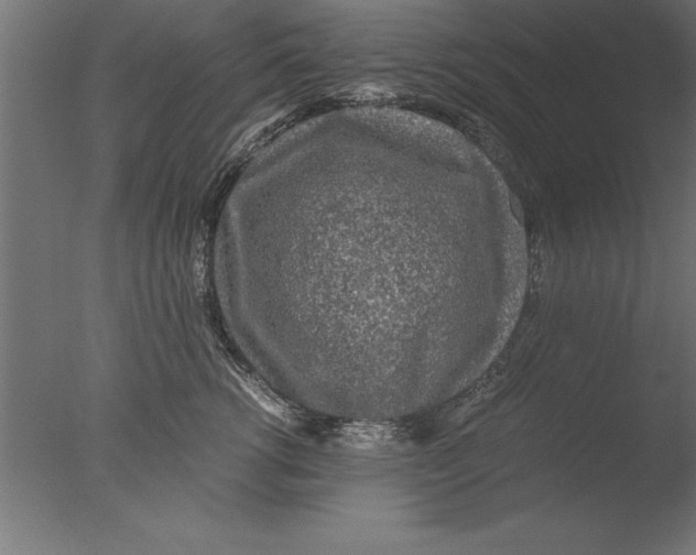 X0000076310762200610201612