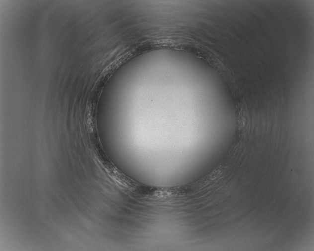 X0000076310764200610201612