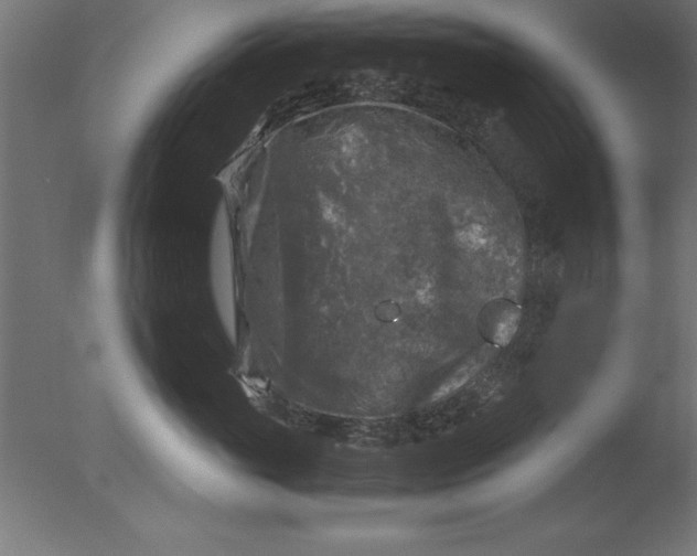 X0000076310765200610201612