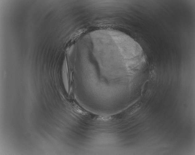 X0000076310767200610201612