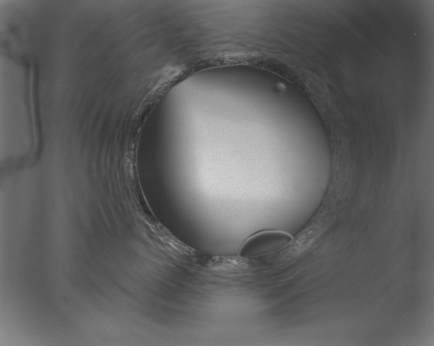 X0000076310768200610201612