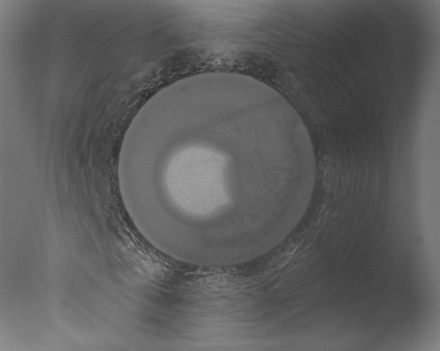 X0000076310769200610201612