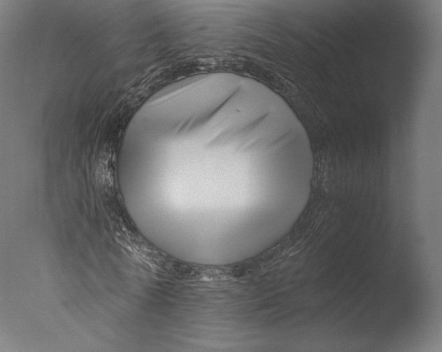 X0000076310770200610201612