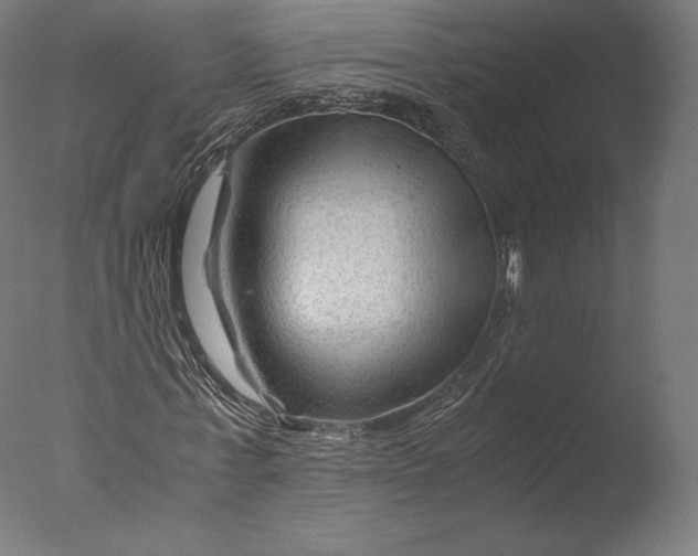 X0000076310771200610201612