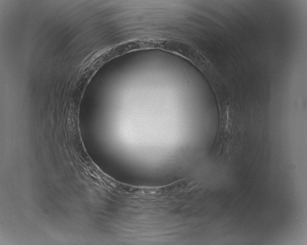 X0000076310773200610201612