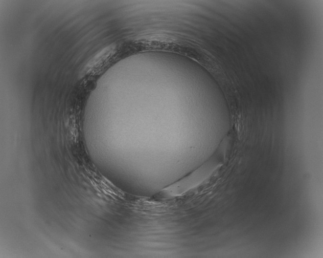 X0000076310774200610201611