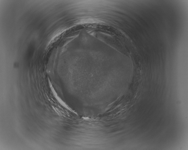 X0000076310775200610201611