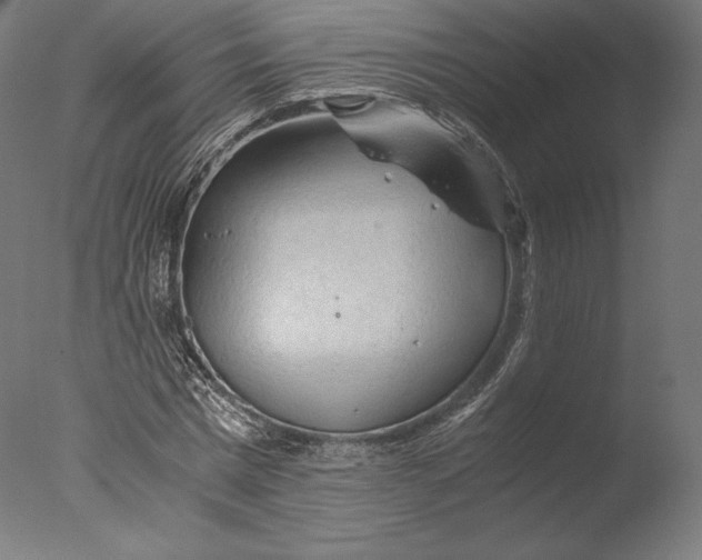 X0000076310777200610201611