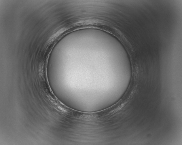 X0000076310778200610201611