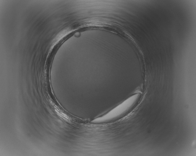 X0000076310779200610201611