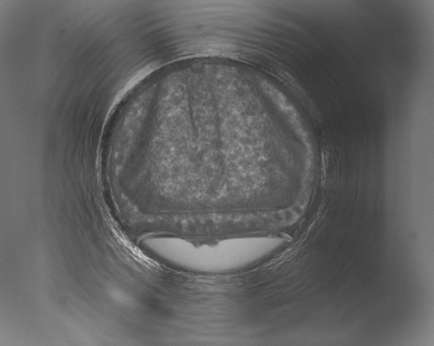 X0000076310780200610201611