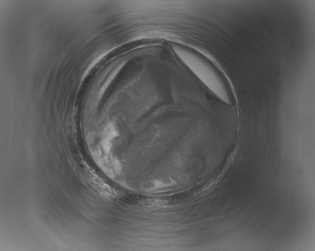 X0000076310783200610201611