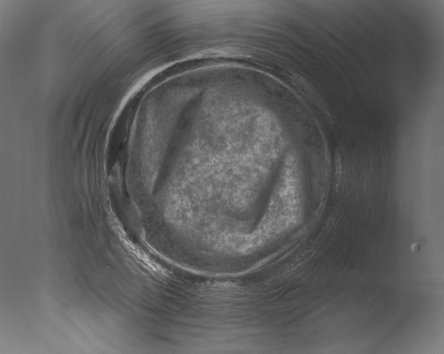 X0000076310784200610201611