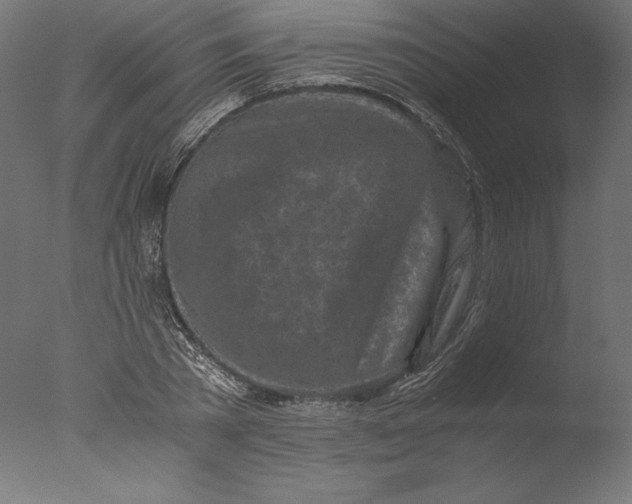 X0000076310785200610201611