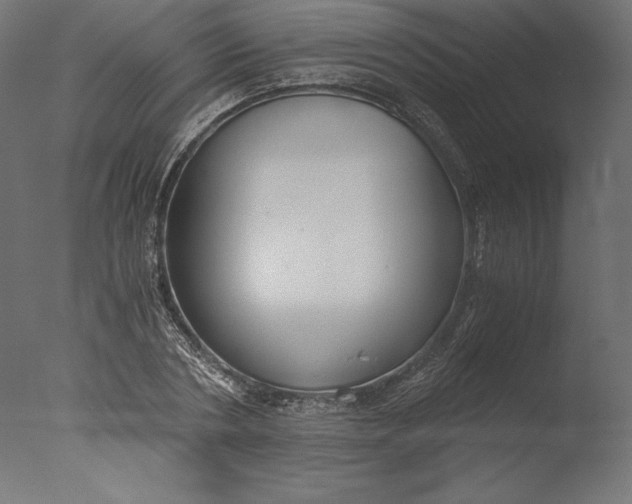 X0000076310786200610201611