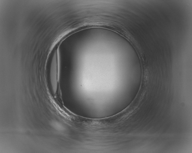 X0000076310787200610201611