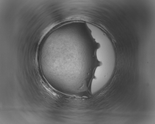 X0000076310788200610201611