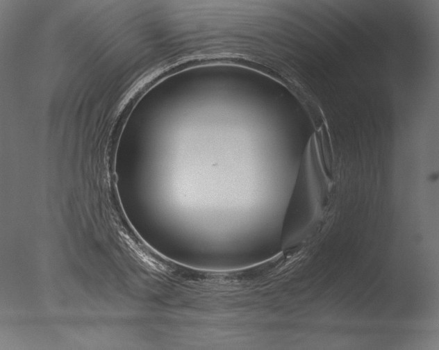 X0000076310789200610201611