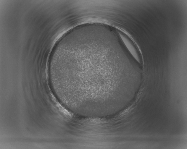 X0000076310791200610201611