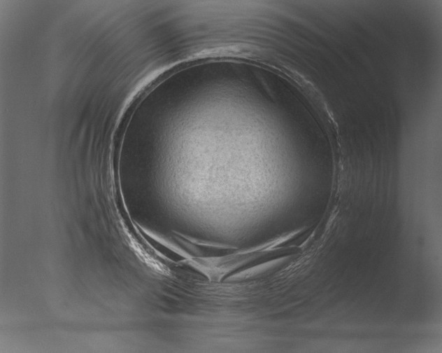 X0000076310792200610201611