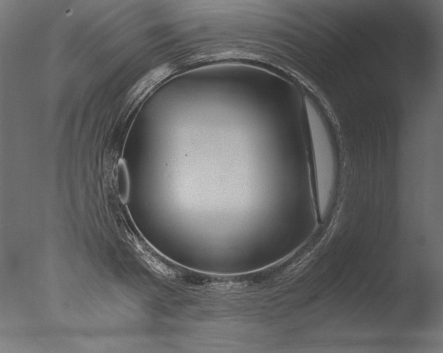 X0000076310793200610201611