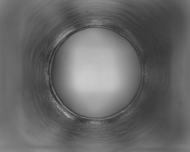 X0000076310794200610201611