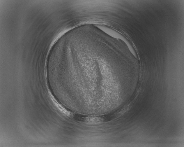 X0000076310795200610201611