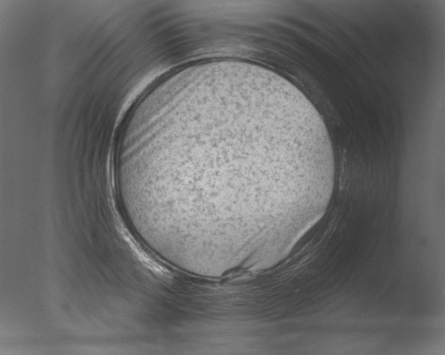 X0000076310796200610201611