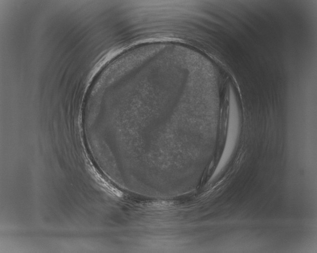 X0000076310797200610201611