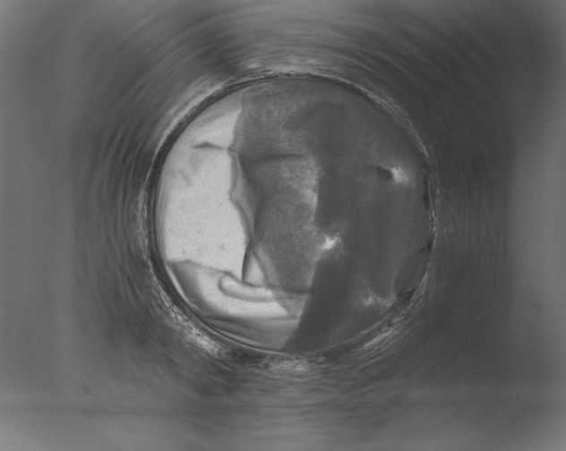 X0000076310798200610201611