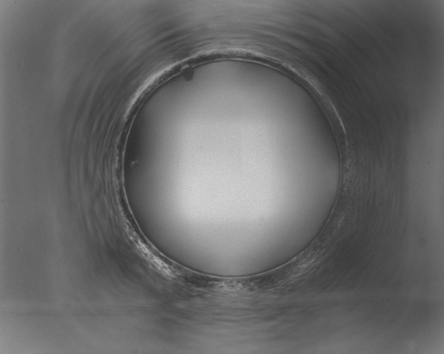 X0000076310799200610201611