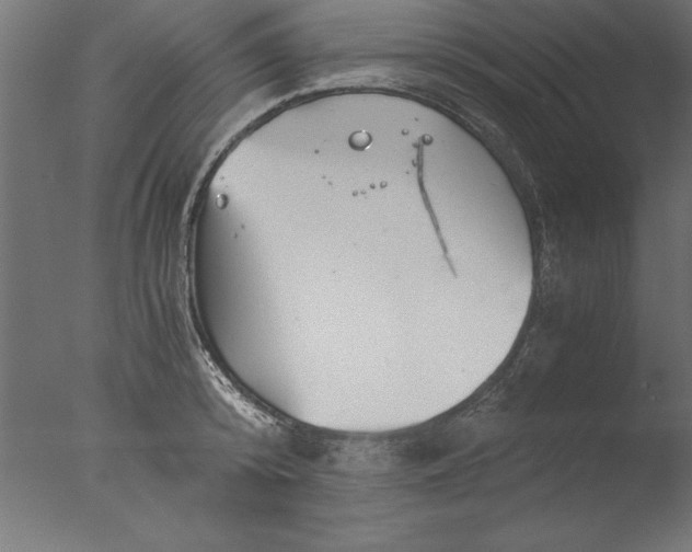 X0000076310800200610201611