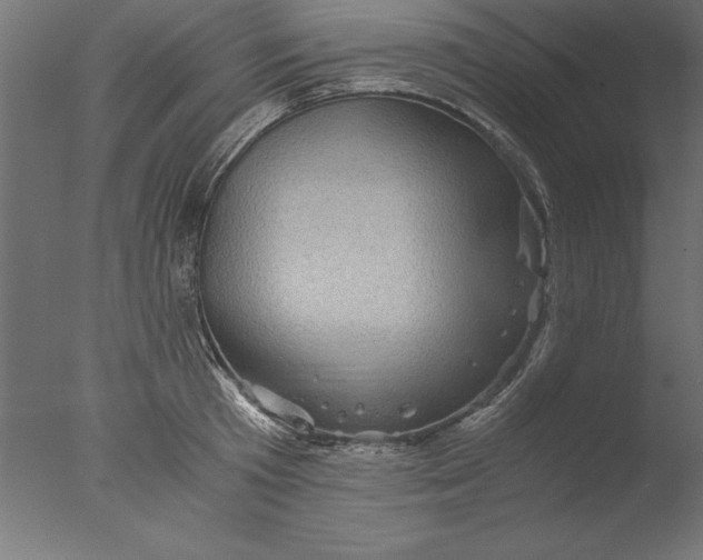 X0000076310801200610201611