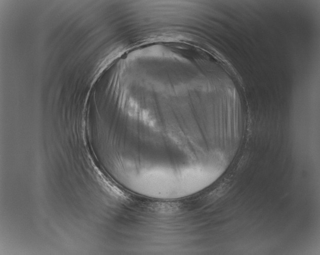 X0000076310802200610201611