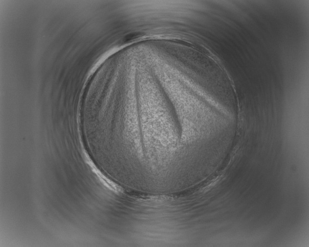 X0000076310803200610201611