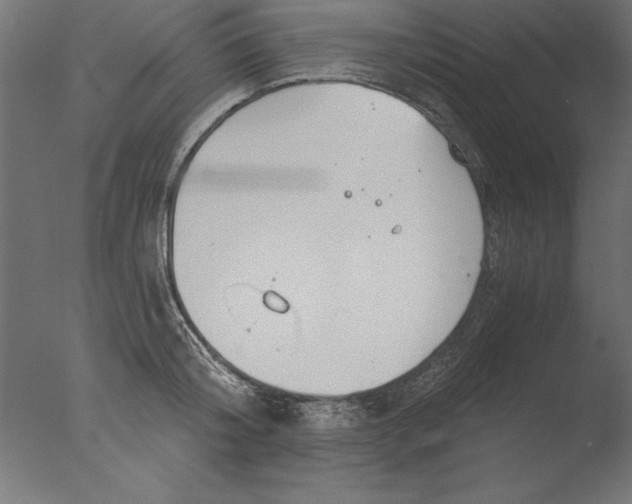 X0000076310804200610201611