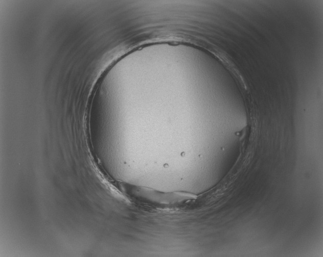 X0000076310805200610201611