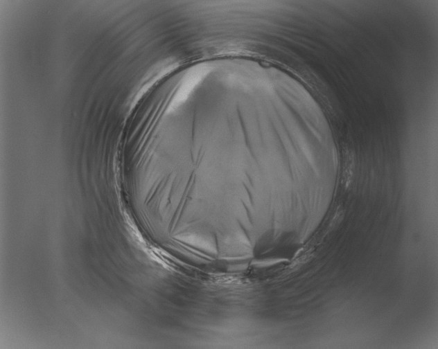 X0000076310806200610201611