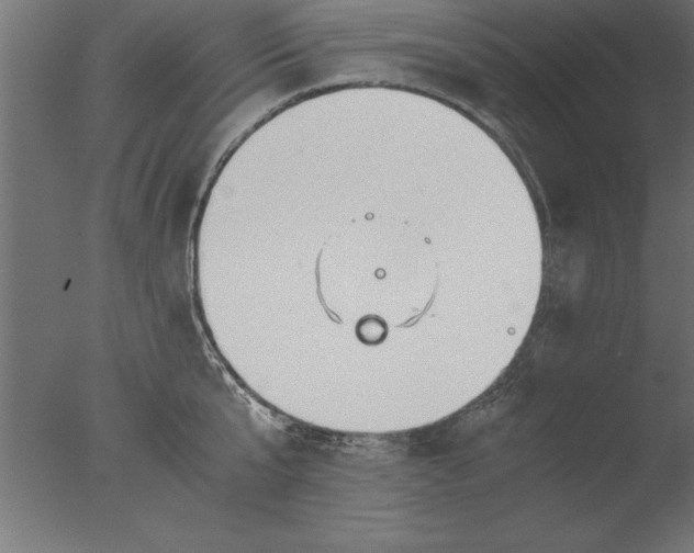 X0000076310807200610201611