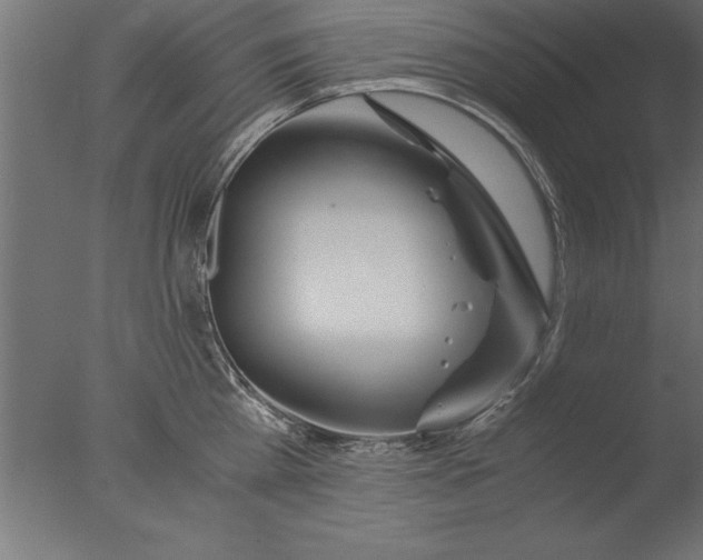 X0000076310809200610201611