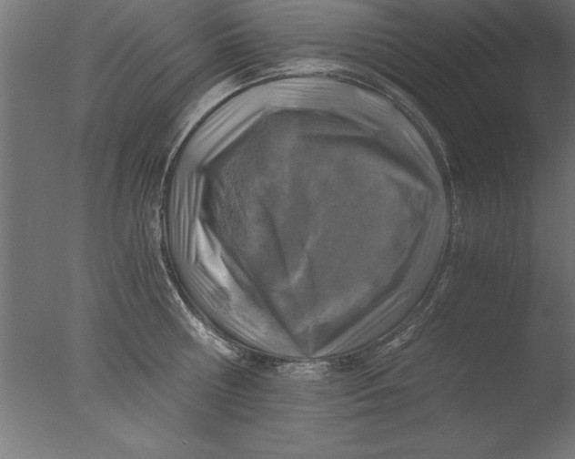 X0000076310810200610201611