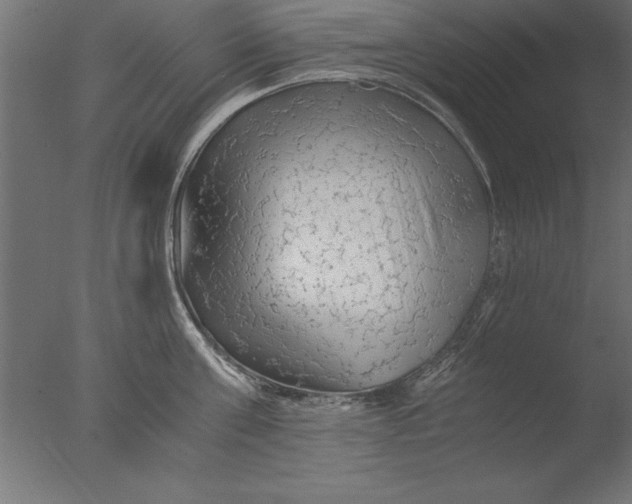 X0000076310811200610201611