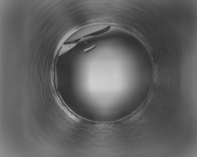 X0000076310812200610201611