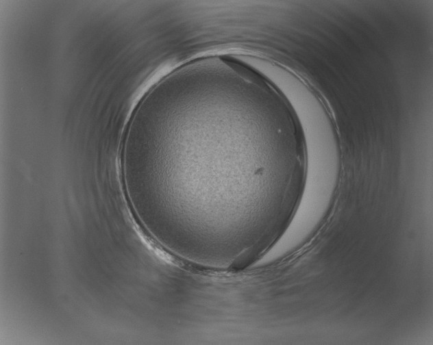 X0000076310813200610201611