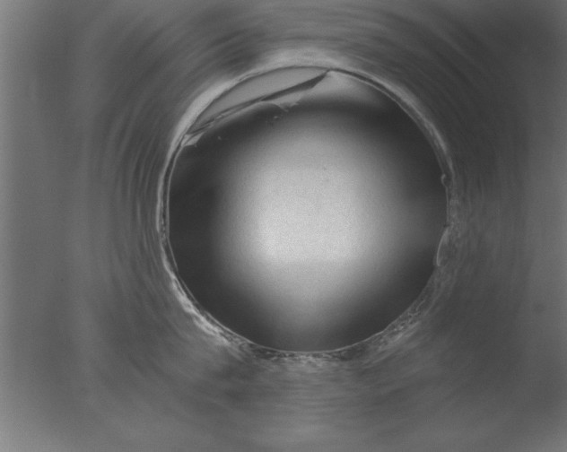 X0000076310815200610201611