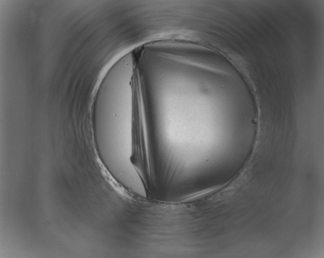 X0000076310816200610201611